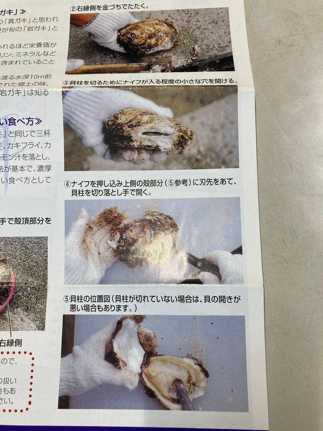 養殖岩牡蠣（5個入1kg）