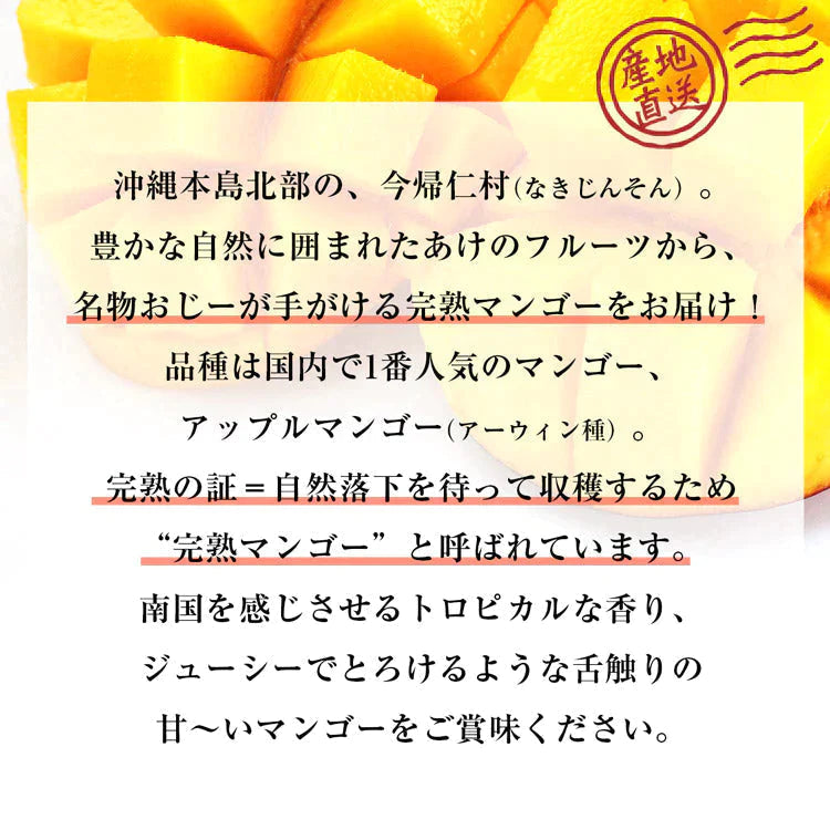 マンゴー 沖縄 完熟マンゴー 良品 1kg 2～3玉 糖度14度選果 今帰仁村 産地直送 あけのフルーツ アップルマンゴー アーウィン種 常温便 同梱不可 指定日不可