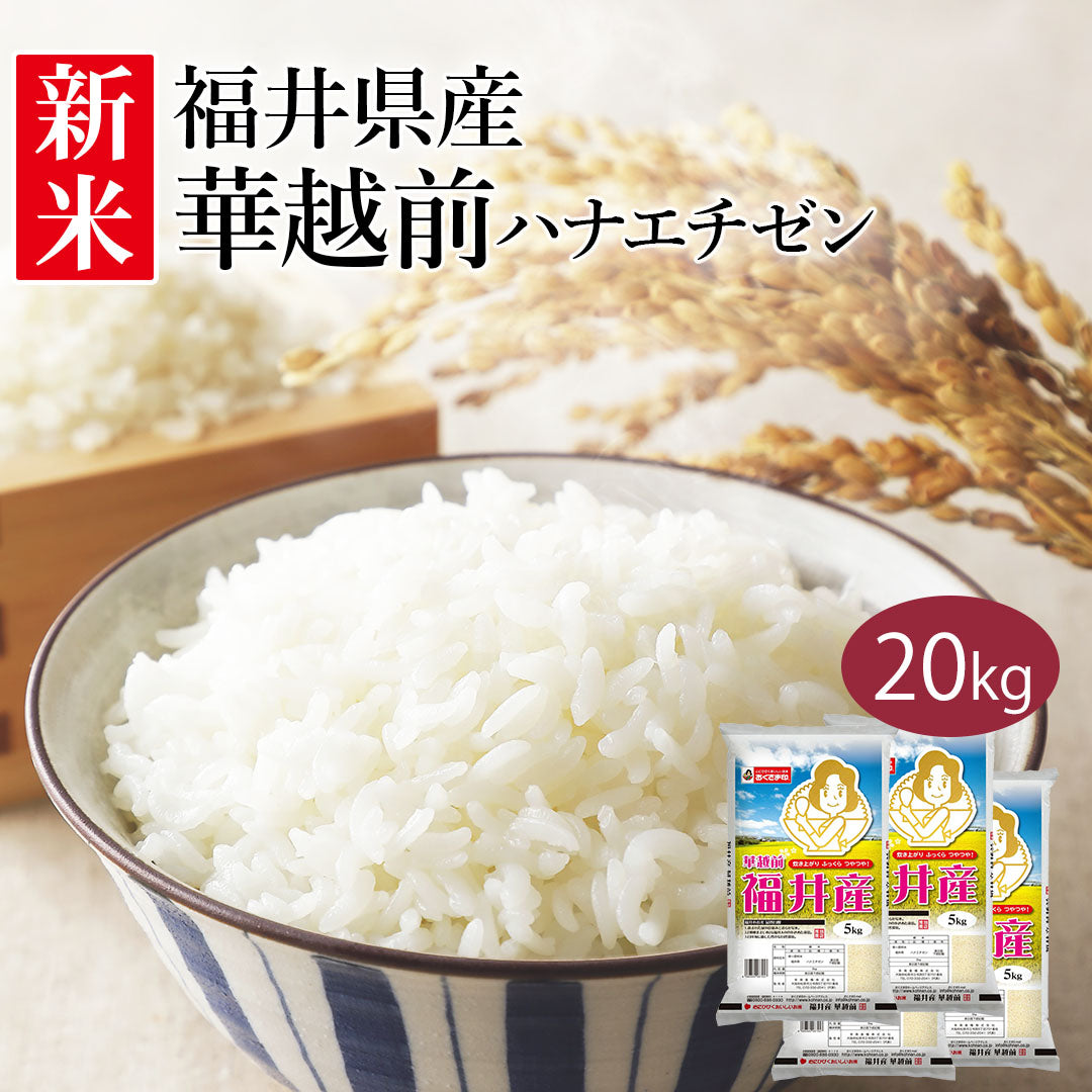 米 精米 福井県産 華越前 ハナエチゼン 20kg (5kg×4) 令和5年産 新米 お米 白米 おくさま印 国産 食品 ギフト 引っ越し 挨拶 出産 内祝い 母の日 父の日 お中元 お歳暮 結婚 快気 還暦 香典返し お年賀 送料無料