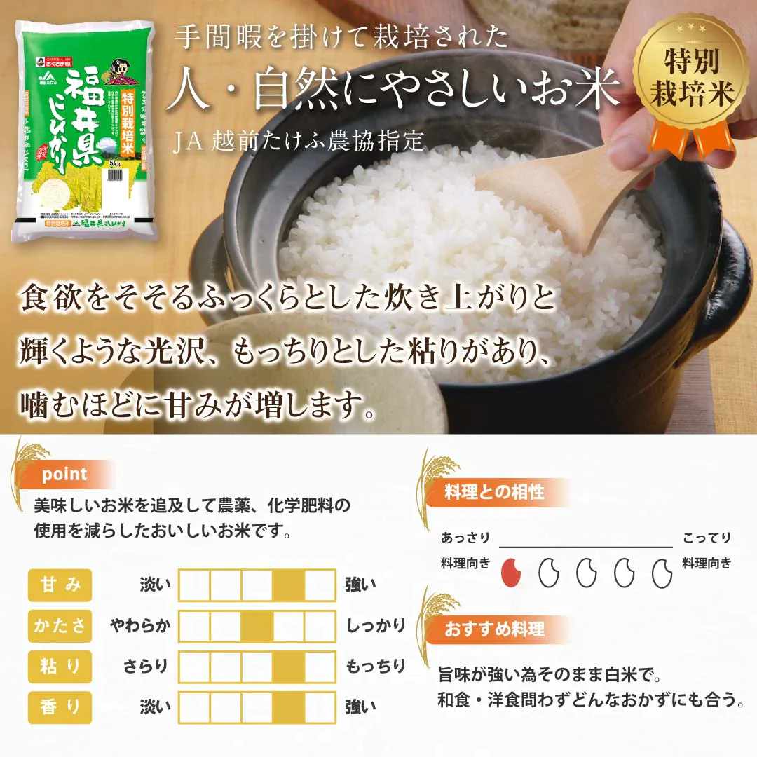 米 精米 福井県産 特別栽培米 こしひかり 10kg (5kg×2) 令和5年産 新米 お米 白米 おくさま印 国産 食品 ギフト 引っ越し 挨拶 出産 内祝い 母の日 父の日 お中元 お歳暮 結婚 快気 還暦 香典返し お年賀 送料無料