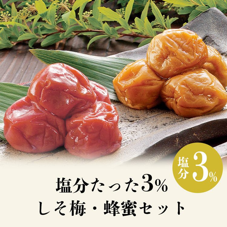 梅干し うめぼし しそ梅 はちみつ 紅白セット 減塩 3％ 和歌山県産 500g×2 計1kg 紀州南高梅 常温便