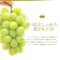【9月下旬発送】 シャインマスカット 産地直送 2〜3房入り（約1kg前後） 山形県産 お徳用 大粒 訳ありぶどう 山形県から産地直送 種無し 大粒 送料無料 果物【エコ得SALE】