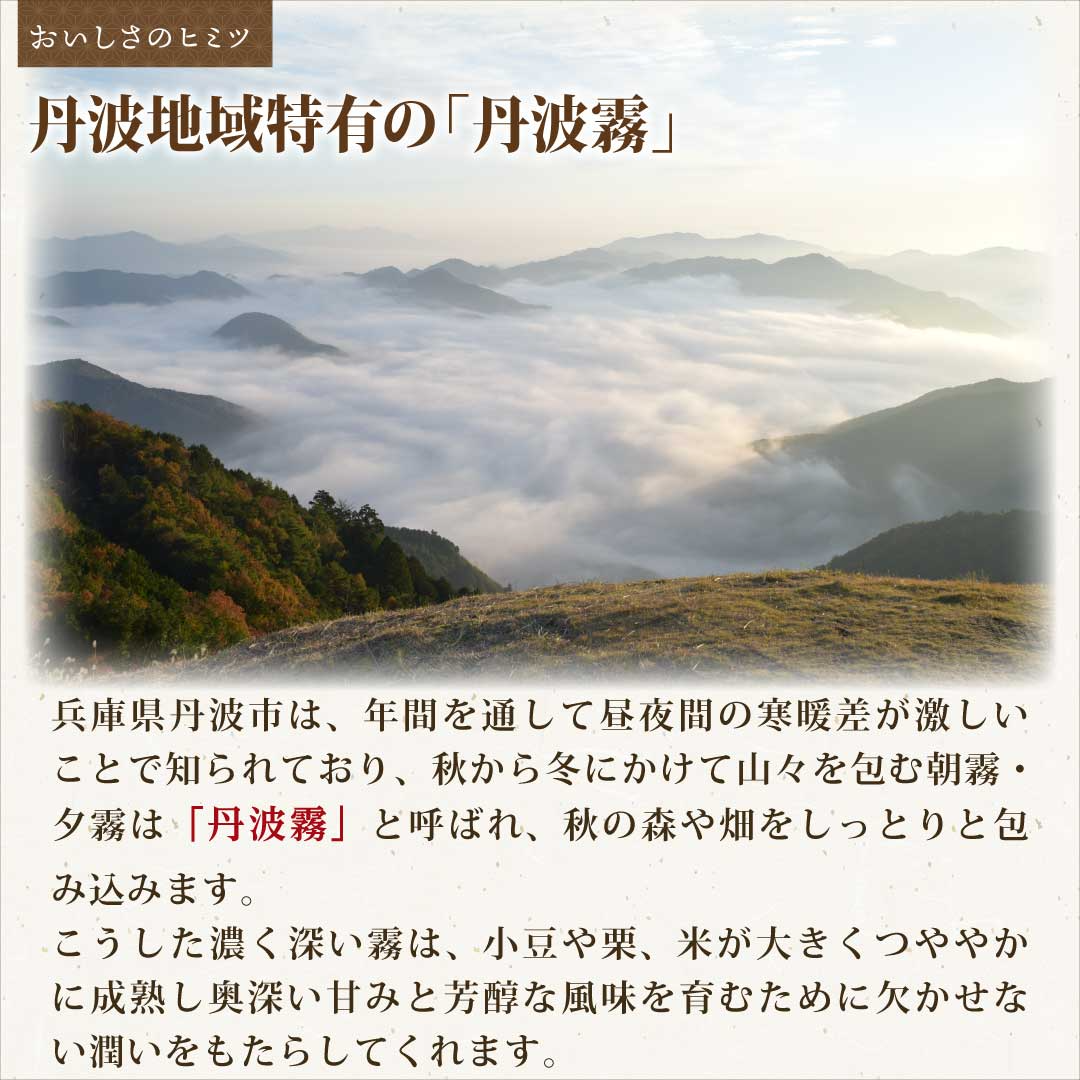 米 精米 兵庫県 丹波市産 こしひかり 5kg 令和5年産 新米 お米 白米 おくさま印 国産 食品 ギフト 引っ越し 挨拶 出産 内祝い 母の日 父の日 お中元 お歳暮 結婚 快気 還暦 香典返し お年賀 送料無料