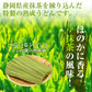【先着30購入限定】抹茶が香る…茶うどんセット3袋6人前【1袋たっぷり200ｇ（100ｇ ×2束入り）】合計600ｇ