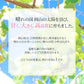 【9月上旬順次発送】送料無料 岡山産 シャインマスカット 晴王 優品2房 800-900g ぶどう【エコ得】