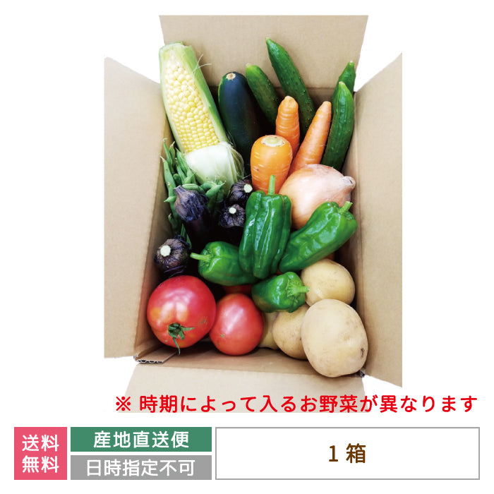 【10種以上保証】春のお野菜詰め合わせ あだたらの里直売所 * (クール便)【特産品・ご当地特集】