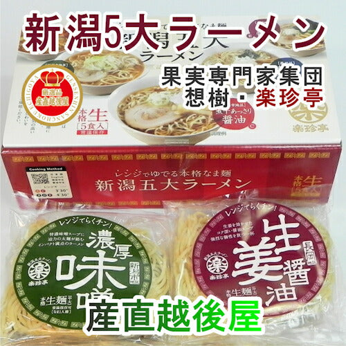 【麺類 ラーメン 新潟5大ラーメン】新潟県 三条市 想樹新潟5大ラーメン 5つの味詰合せ110g5袋 スープ付き 電磁レンジで調理送料無料【贈り物 贈答品 ギフト】