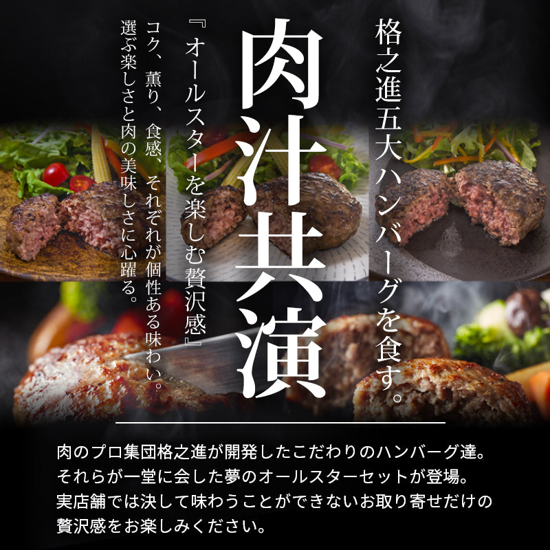 10個入り（各2個）格之進ハンバーグバラエティセット 無添加