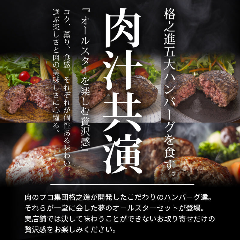 【3人シェア買いでお得】10個入り（各2個）格之進ハンバーグバラエティセット 無添加
