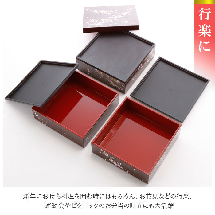 【桜さくら・重箱】 重箱 三段 通販 桜 3段 お重 5寸 ランチボックス ファミリーサイズ お重箱 おせち お花見 行楽 ピクニック 和モダン 晴れの日 弁当 お正月 ハレの日 運動会 行楽弁当 大きめ オードブル