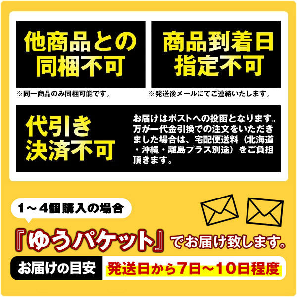 塩白湯ちゃんぽん麺90g×3食セット<br />［粉末スープ3P付き］【4〜5営業日以内に出荷】【送料無料】