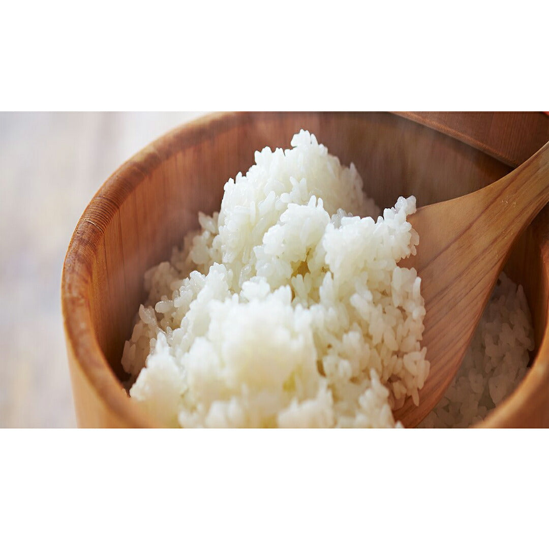 ★非掲載★雪蔵仕込み氷温熟成 新潟産こしひかり 4kg（2kg×2袋） コシヒカリ 新潟 県産 白米 精米 つやつや もちもち 甘い うるち米 ギフト 中元 歳暮 お試し グルメ お取り寄せ ランキング 人気 おすすめ 送料無料 ※代引不可