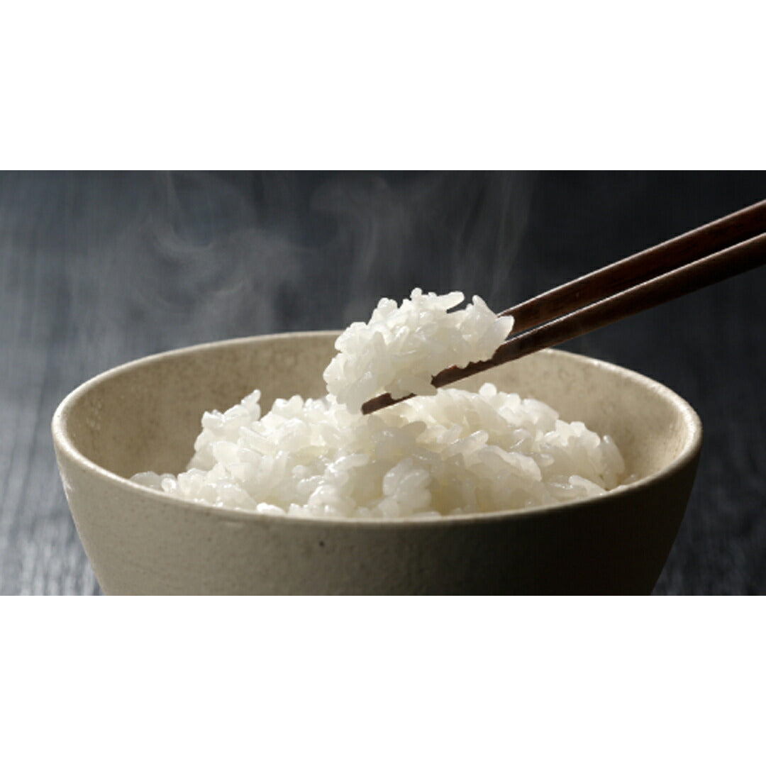 ★非掲載★雪蔵仕込み 新潟県産新之助 2kg×2袋 コシヒカリ 新潟 県産 白米 精米 つやつや もちもち ふっくら 甘い 粘り 弾力 うるち米 ギフト 中元 歳暮 お試し グルメ お取り寄せ ランキング 人気 おすすめ 送料無料 ※代引不可