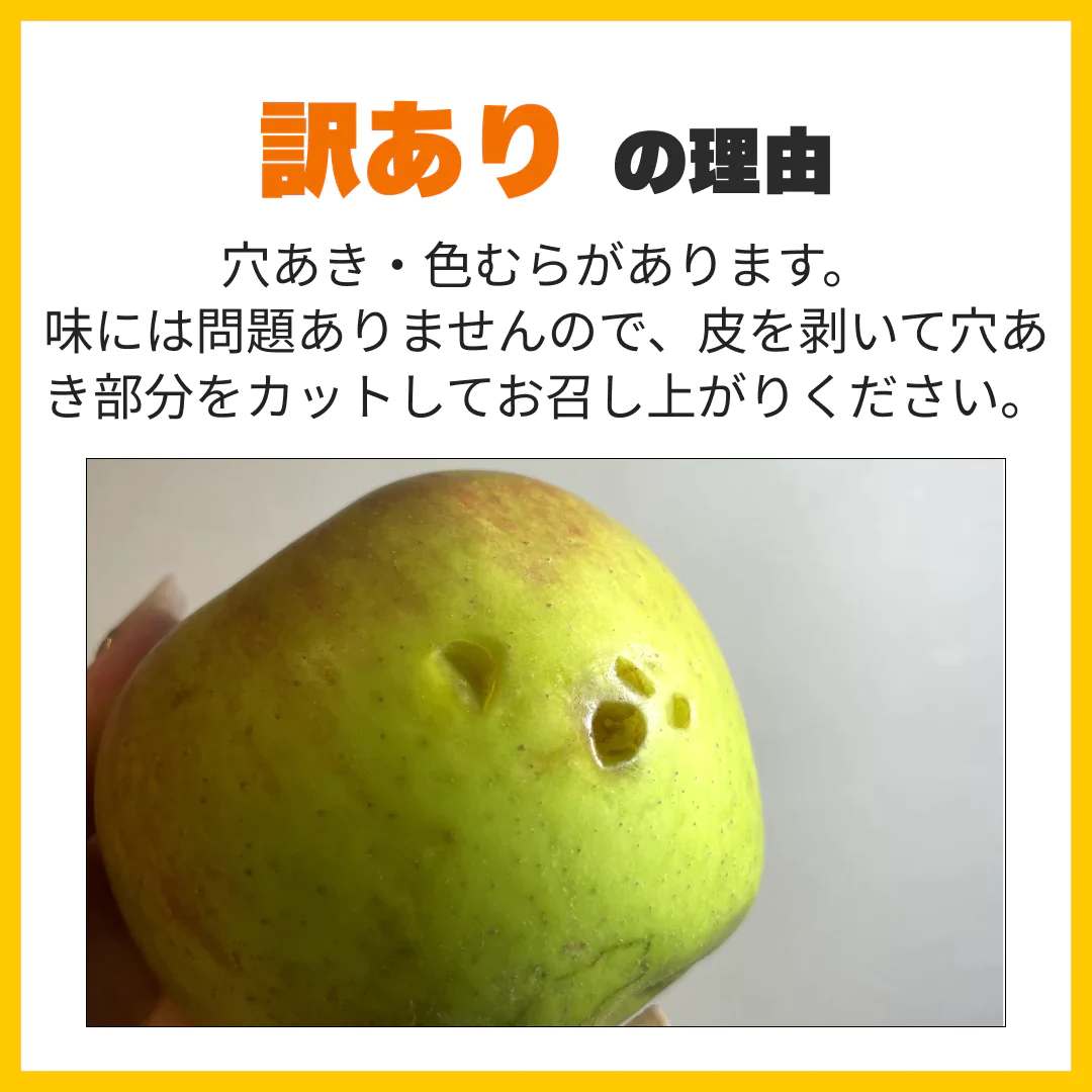 訳ありレスキューりんご 約3kg 長野県産 家庭用  品種混合 果物 フルーツ【順次出荷】【ゲリラセール】