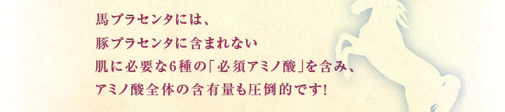 【熊本コレクション】馬油プラセンタ化粧品 コウネネイルケア〈初回限定〉トライアルサンプルセットをプレゼント★　保湿　潤い　乾燥　美容液　国産　プレゼント　アロマの香り