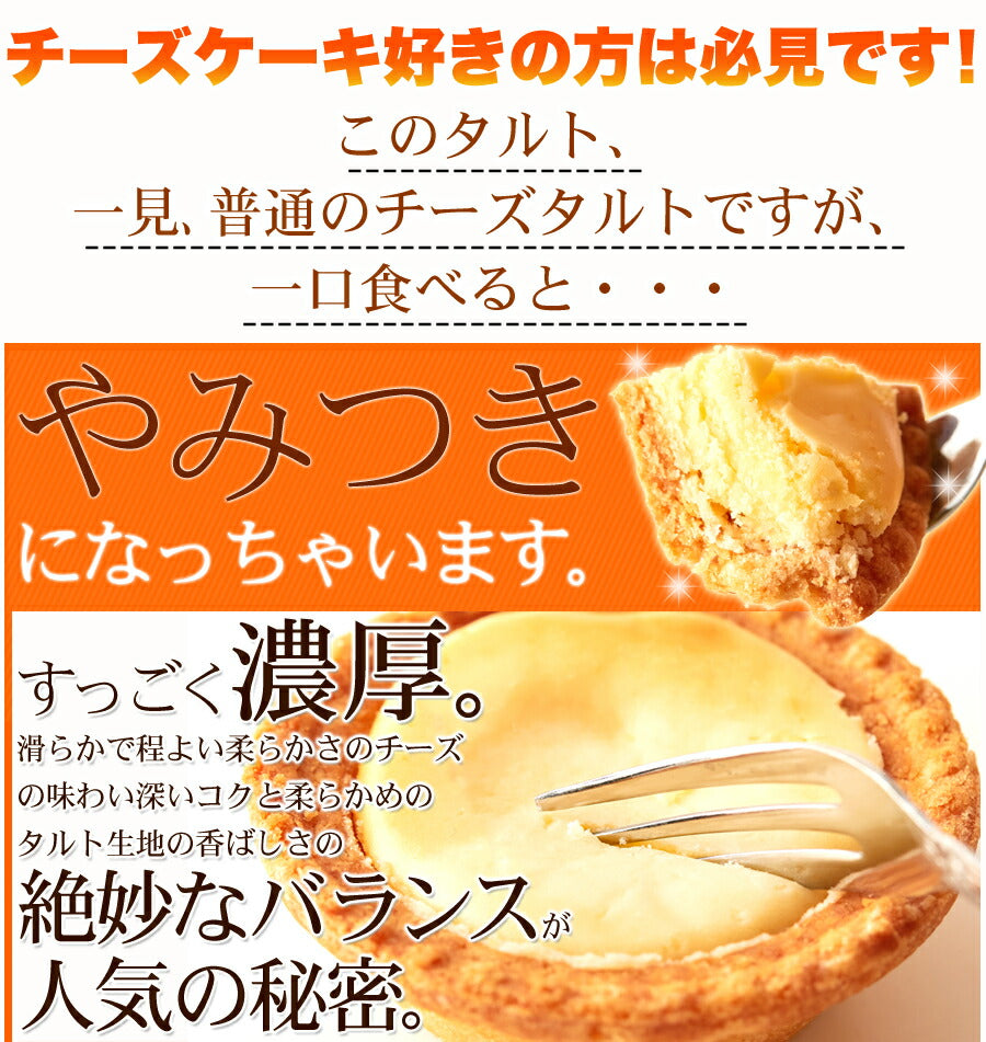 濃厚 チーズタルト (1kg) 個包装 チーズケーキ 常温保存 訳あり お菓子 焼き菓子 人気 ホワイトデー 小分け 業務用 文化祭 学園祭 お菓子 タルト チーズ 常温