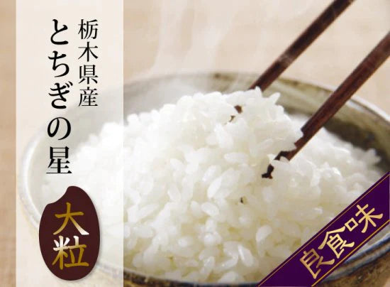 とちぎの星 10ｋｇ 栃木県4年産 大粒 令和大嘗祭献上米