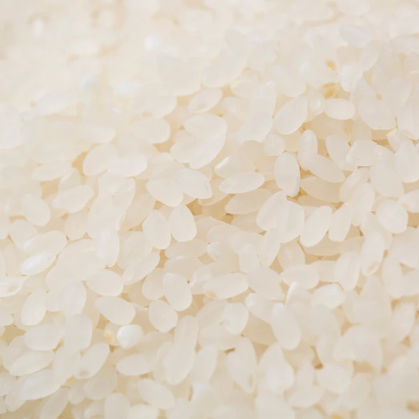 【新潟米 令和3年産】無洗米 新潟産コシヒカリ 窒素充填 小分けパック 6kg (300g×20袋) NTWP製法
