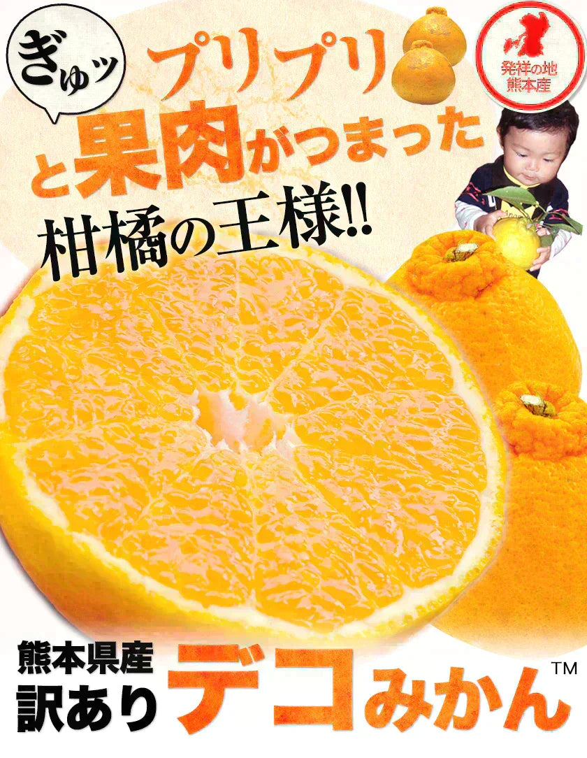 訳あり デコみかん 4.5kg 送料無料 不知火 みかん ミカン 熊本県産 訳あり デコポン と同品種 熊本 柑橘 目玉商品 くまもと風土《3月末頃～4月中旬頃より発送予定》【エコ得リリースSALE】