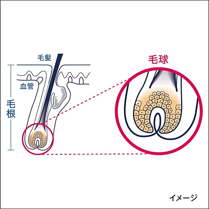 【まとめ買い】サクセス育毛トニック 無香料 180g×3個