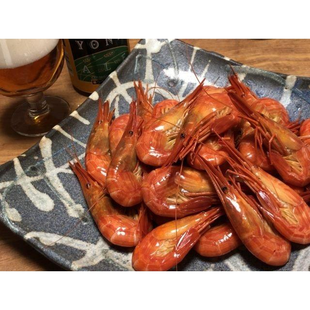 北海道 函館漁港水揚げ 縞海老 300g