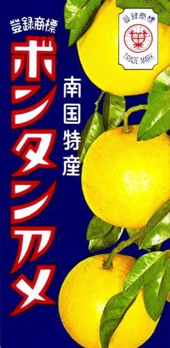 【たっぷり5箱！】セイカ食品 ボンタンアメ 14粒 飴 あめ　※