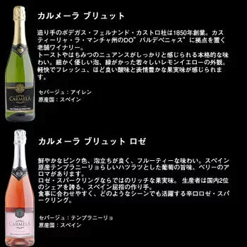 【送料無料】金賞・シャンパーニュ製法入り 辛口スパークリングワイン 12本セット［常温］【4〜5営業日以内に出荷】[W][S]