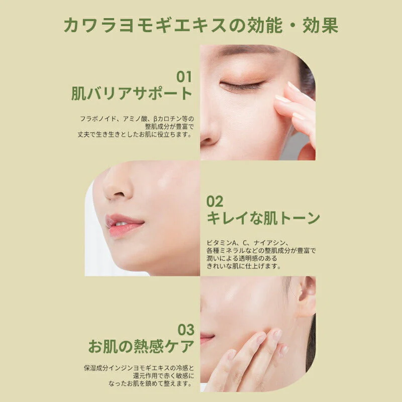 【ヨモギエキス】化粧水 スキントナー 150ml ザワン カワラヨモギエキス ドクダミエキス 原液 リズリー ローション 保湿 ヨモギ 赤み 角質 肌あれ 乾燥 頭皮 ケア ヴィーガン ビーガン コスメ 韓国コスメ LIZLY 定形外 送料込み