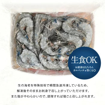 ニューカレドニア産　天使の海老 1kg 40/50サイズ 40～50尾入り［冷凍のみ］【送料無料】【4～5営業日以内に出荷】