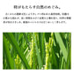 とれたて新米 8kg 新潟産コシヒカリ お米 令和4年産（本州：送料無料）