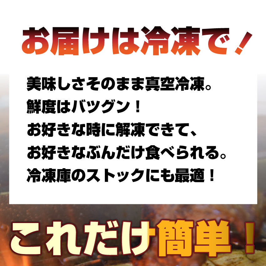 バーベキュー メガ盛り セット 冷凍たっぷり6～8人前 福袋 （ 総重量 2.1kg ）