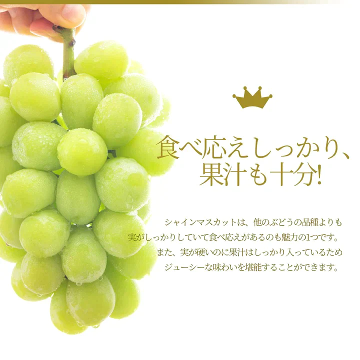 【9月下旬発送】 シャインマスカット 産地直送 2〜3房入り（約1kg前後） 山形県産 お徳用 大粒 訳ありぶどう 山形県から産地直送 種無し 大粒 送料無料 果物