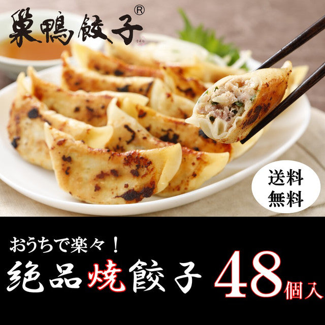 48個（12個入り×4袋）巣鴨焼餃子 |箸が止まらない！絶品焼餃子