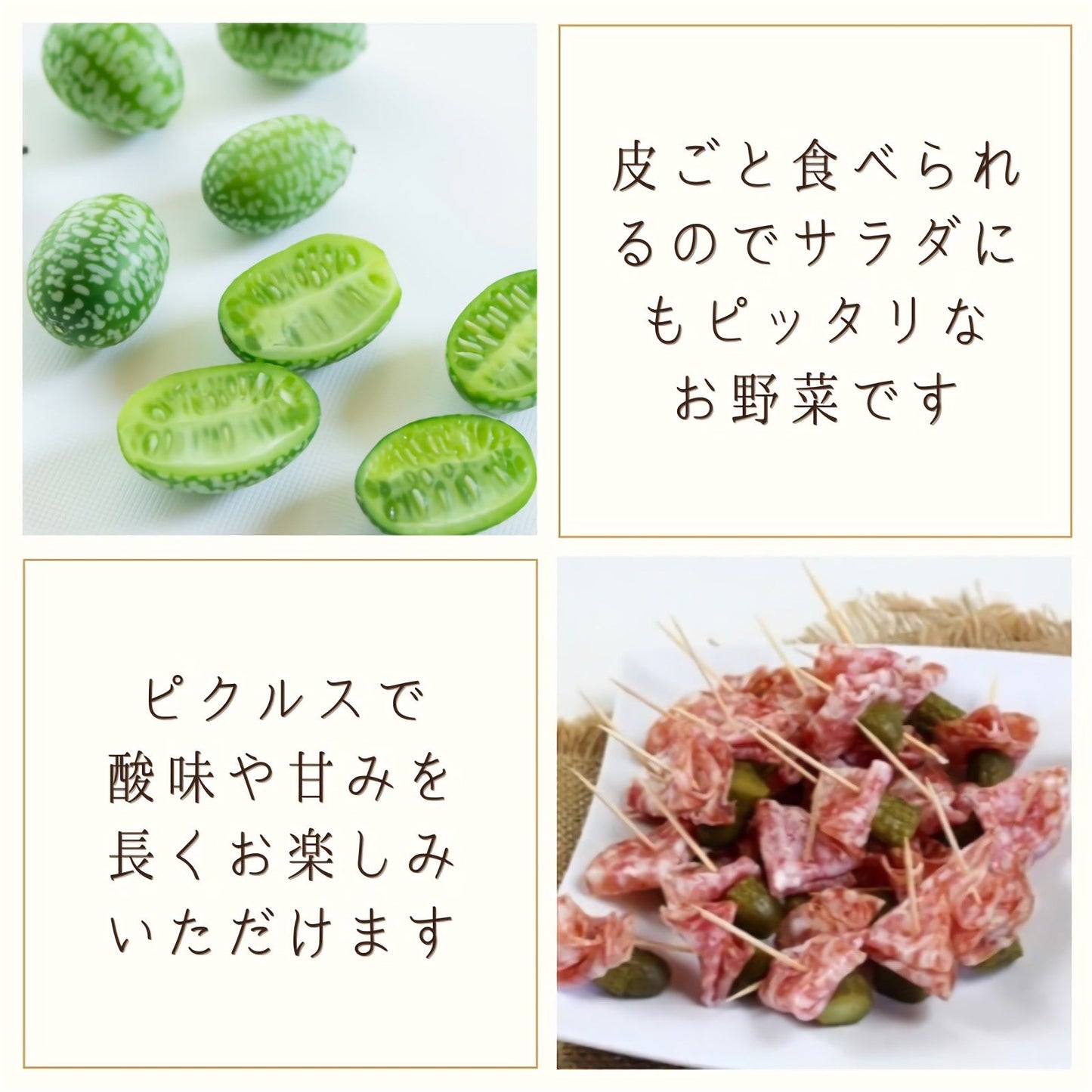 【期間限定】マイクロきゅうり 約300g(80粒前後) 青森県産 産地直送 2022年産 送料無料 ミニ野菜 国産 きゅうり