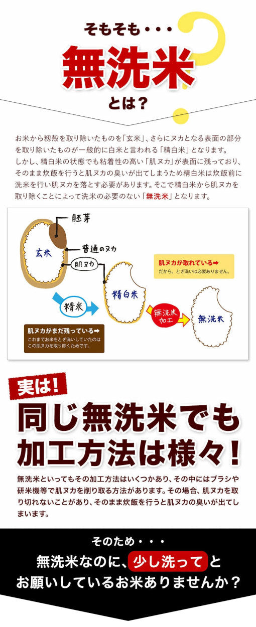 【熊本コレクション】業務用 無洗米 10kg (5kg×2) 送料無料【無洗米の最安値に挑戦中】コメ お徳用 無洗米 白米 非常食 保存食 業務用 訳あり わけあり 米 コメ 白米 精米 《1-5営業日以内に出荷(土日祝日除く)》
