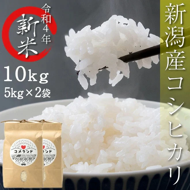 【3人シェア買いでお得】10kg 令和3年産 新潟こしひかり