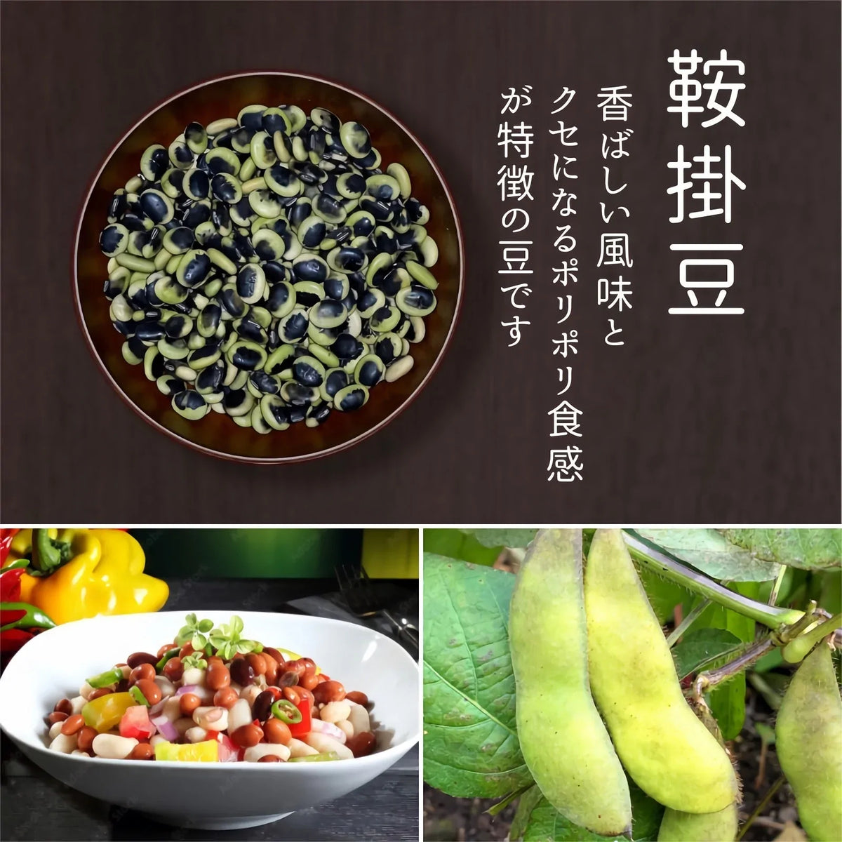 【厳選した豆を食べ比べ】７種の乾燥豆セット 計700ｇ（各100ｇ）農薬・化学肥料不使用 2022年産 青森県産 厳選 産地直送 送料無料 お試し 健康 ヘルシー