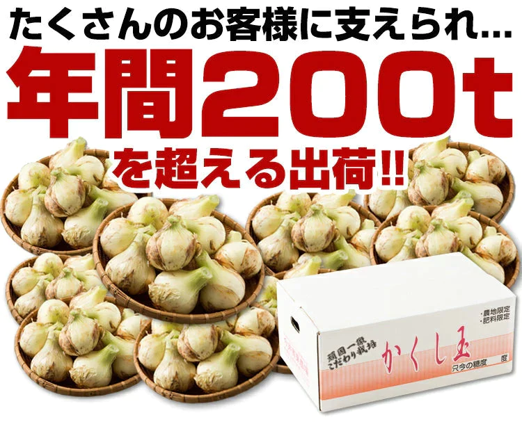 【100人シェア買いでお得】淡路島 新たまねぎ (訳)  2キロ　Sサイズ〜2Lサイズお任せ【超得ハイパーSALE】＃(訳)かくし玉2kg【購入特典】＃