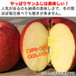 サンふじ 訳あり 約5kg 12-25玉＃YAF0B050