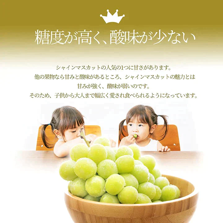【9月下旬発送】 シャインマスカット 産地直送 2〜3房入り（約1kg前後） 山形県産 お徳用 大粒 訳ありぶどう 山形県から産地直送 種無し 大粒 送料無料 果物【エコ得SALE】