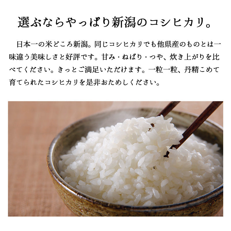 とれたて新米 8kg 新潟産コシヒカリ お米 令和4年産（本州：送料無料）