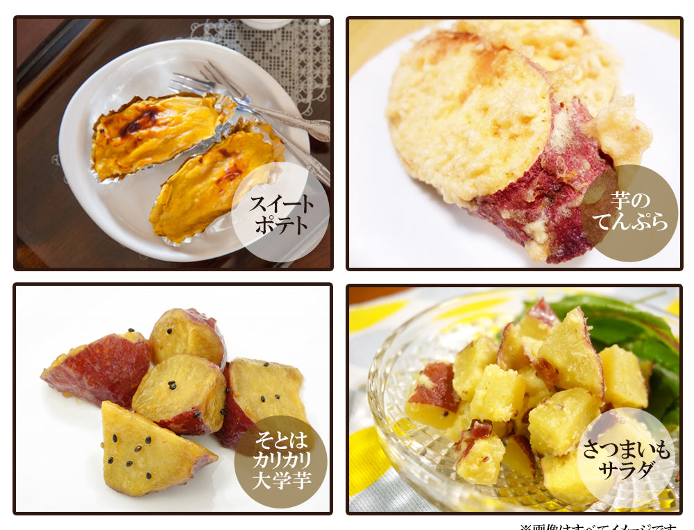 【最安値挑戦祭】シルクスイート さつまいも 5kg 送料無料 産地直送 産直 土付き さつま芋 薩摩芋 焼きいも 焼き芋 石焼き芋 芋 いも イモ 鹿児島県産 ngs-004