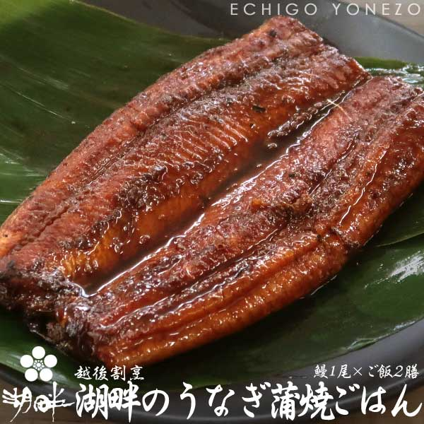 【三河産特上鰻】うなぎ蒲焼 魚沼ごはん 鰻(大サイズ) 1尾/カット2枚