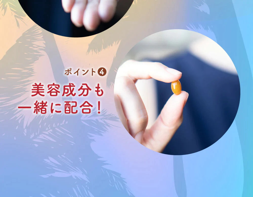 コンブチャ（KOMBUCHA）《3ヶ月分》 酵素 乳酸菌 美容成分 紅茶キノコ 酵母 ビタミンD 葉酸 ビタミンC ビタミンB  大豆ペプチド【ゲリラセール】