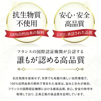 ニューカレドニア産　天使の海老 1kg 40/50サイズ 40～50尾入り［冷凍のみ］【送料無料】【4～5営業日以内に出荷】