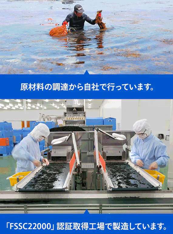 国産ひじき使用
しそ風味ソフトひじきふりかけ
お得な大容量120g×3袋セット【送料無料】
