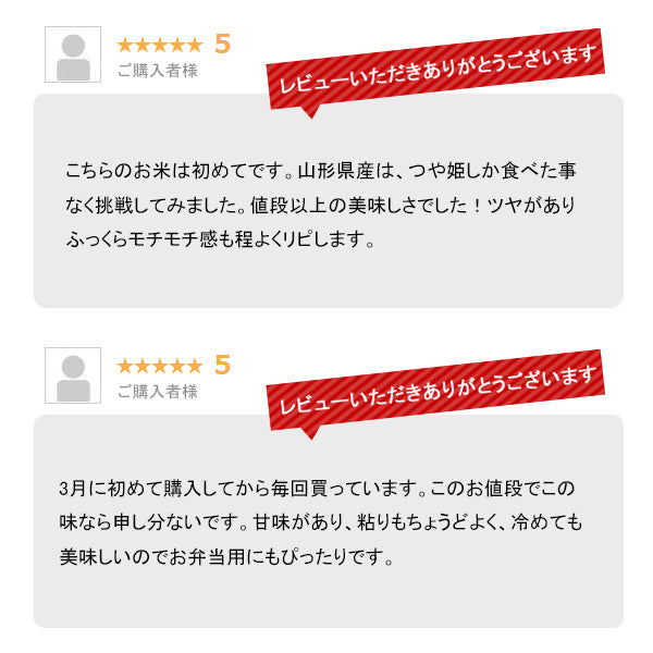 米 10kg 山形産コシヒカリ 令和3年産 お米 白米 10キロ（本州：送料無料）