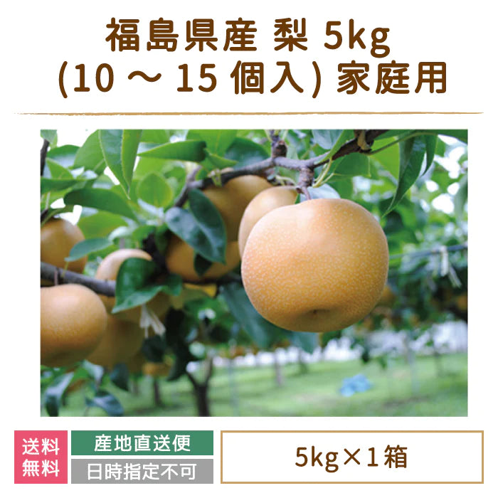 福島県産 梨 5kg  (8～12個入) 家庭用 鏡石町 *