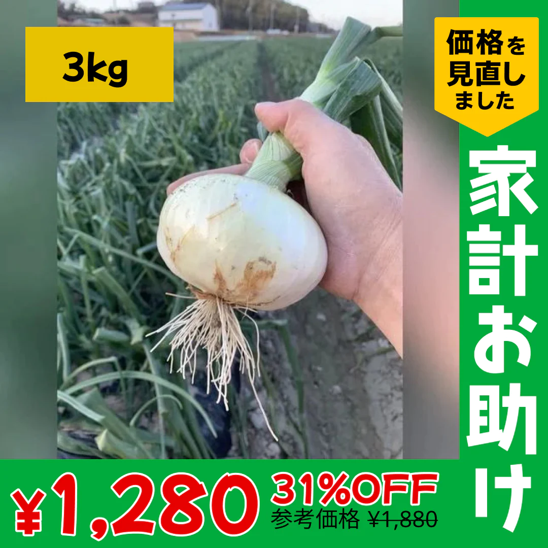 訳あり新玉ねぎ3kg🧅シャーロットオニオン今が旬 淡路島極熟玉葱 送料無料 たまねぎ タマネギ【家計お助けSALE】