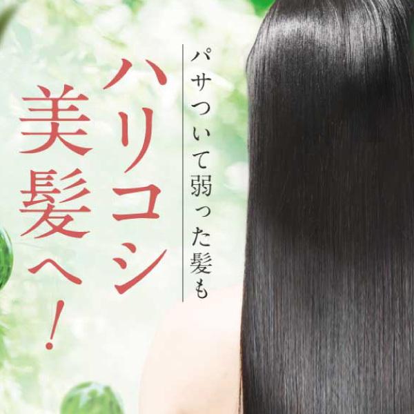 さくらの森【公式】 送料無料 ハーバニエンス シャンプー  グリーンローズ ノンシリコン アミノ酸 頭皮ケア 美容室専売 無添加 アミノ酸 ボタニカル くせ毛 低刺激 美容室